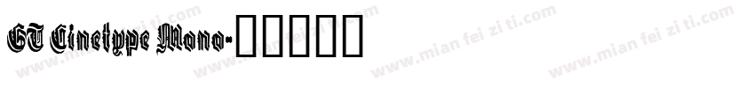 GT Cinetype Mono字体转换